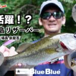 【開発中ルアー多数登場】バスフィッシングin千葉県豊英ダムby BlueBlue工場長 泉龍吾