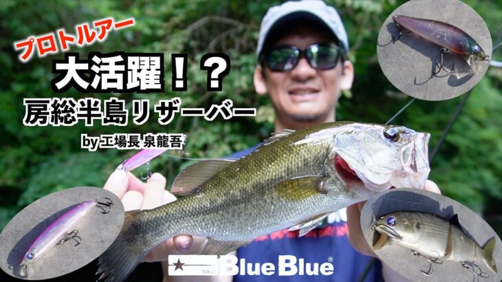 【開発中ルアー多数登場】バスフィッシングin千葉県豊英ダムby BlueBlue工場長 泉龍吾