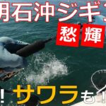 メジロ爆釣！サワラも！秋の明石沖ジギング on 愁輝丸