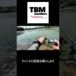 【バス釣り】フルスイングの水面バジングでモンスターバスが、、、#shorts  #ショート