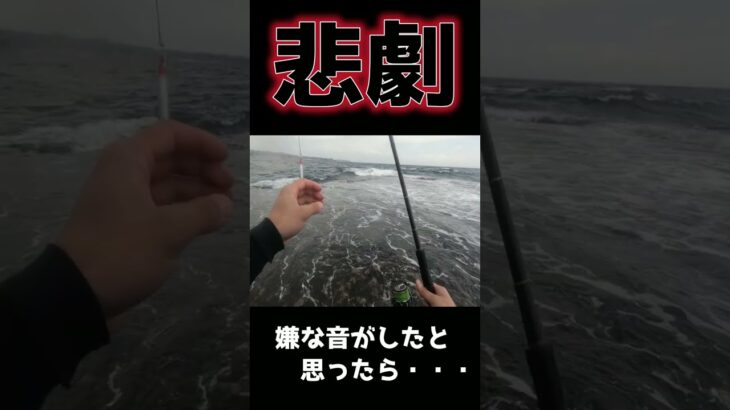 頭が真っ白になる瞬間がこちらです。【釣りあるある】＃sorts