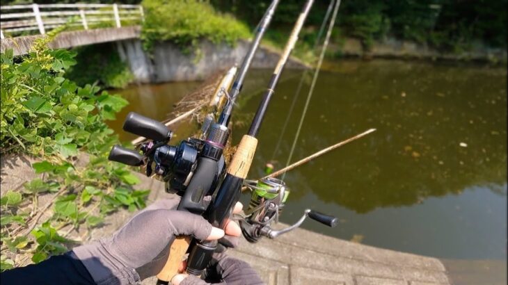 秋のバス釣りで苦戦している方は、この釣り方をマネしてみて下さい「野池」