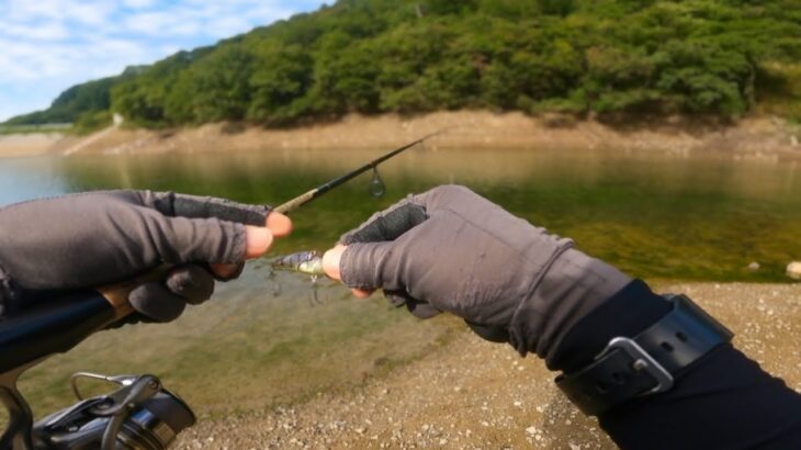 寒くなって釣れなくなった… でも、このルアーなら爆釣できます「秋のバス釣り」「野池」「初心者」