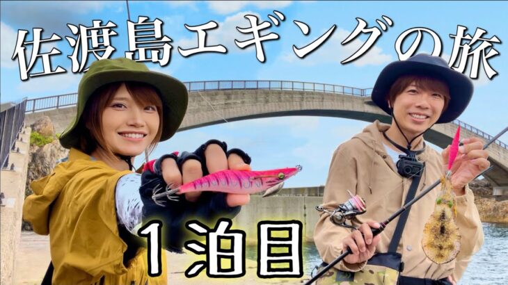 秋イカ爆釣！佐渡島のエギングが想像以上に凄かった‼