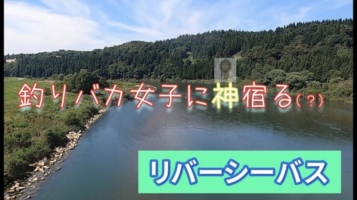 【秋田・雄物川】【宮城・北上川】車中泊しながらリバーシーバスを釣りに行く。　助けて…私、バ◯シ神が宿ったかもしれません。泣