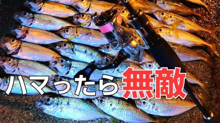 【アジング】これ使ったら釣果が伸びてきました