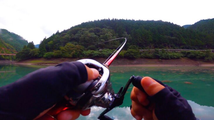 山奥で巨大ブラックバスが次々に湧いてくる。