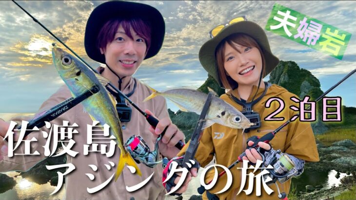 アジの大群！佐渡島のアジングが想像以上に凄かった‼️（まさかの超大物）