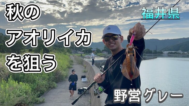 【イカ釣り】秋のエギング！釣ったイカをその場で捌いて、刺身で食う！！