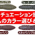 【バス釣り】プロガイドが考えるワームのカラー選び＆強弱（ボトムタッチ編）