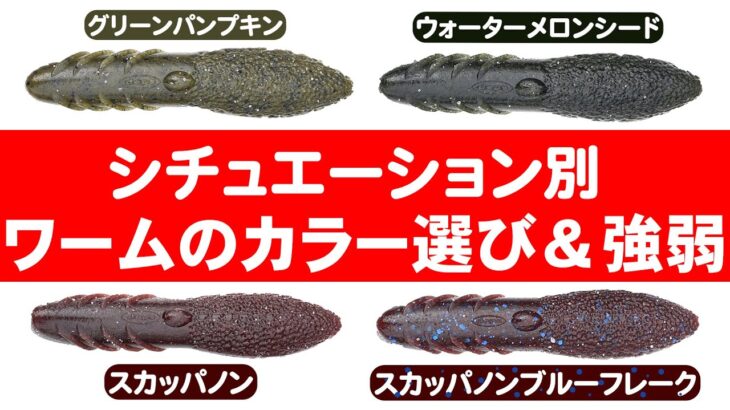 【バス釣り】プロガイドが考えるワームのカラー選び＆強弱（ボトムタッチ編）