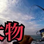 遠州灘サーフでルアー釣りしたら大物が…