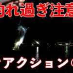 【釣れ過ぎ注意】アジング釣るコツはワンアクションして○○