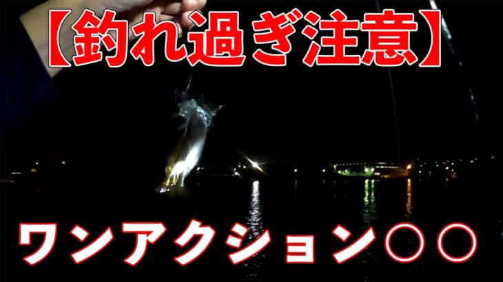 【釣れ過ぎ注意】アジング釣るコツはワンアクションして○○