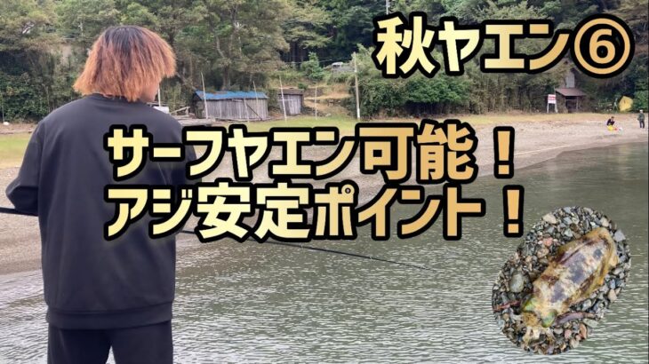 【秋ヤエン⑥中盤】ヤエン釣り【ここはアジ安心！トイレ、水も有り！ファミリーフィッシング最適！】新子調査　福井県