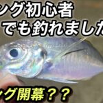 【アジング】初心者でも釣れるシーズンきた？？ジグ単で楽しむ秋アジング！最後に高級な…