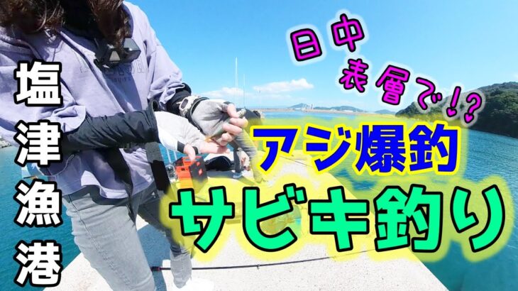 【サビキ釣り】和歌山【塩津漁港】あの撒き餌でアジ爆釣♪謎の魚教えて下さい！