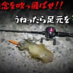 【ベイトエギング】ウネリの中巻いて釣る秋エギング アオリイカ