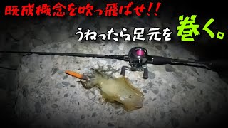 【ベイトエギング】ウネリの中巻いて釣る秋エギング アオリイカ