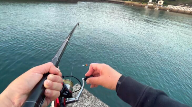 【遠投サビキ釣り】大興奮!!!引きが強くて面白い!【秋の釣り】