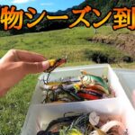 【秋のバス釣り】と言うわけで巻物オンリーで釣りまくりました