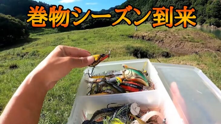 【秋のバス釣り】と言うわけで巻物オンリーで釣りまくりました