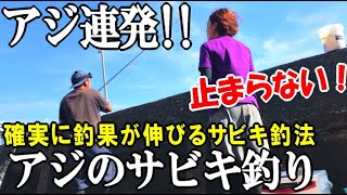 水路のような隙間でアジが連発！確実に釣果が伸びるアジのサビキ釣法で釣りしたらアジが釣れ続けた！