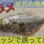 【三重サーフ】ヒラメ！足下の地形変化 ウェッジで誘って釣る！