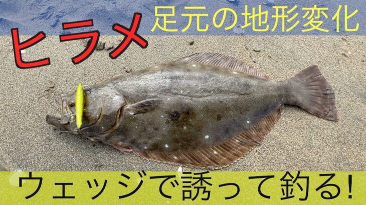 【三重サーフ】ヒラメ！足下の地形変化 ウェッジで誘って釣る！