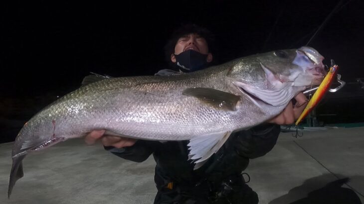 釣りガールからランカーシーバスを横取りしたぞおおお！！！