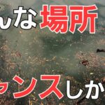 【アジング】澄潮に満月でも◯◯溜まりを狙えばアジは釣れます。