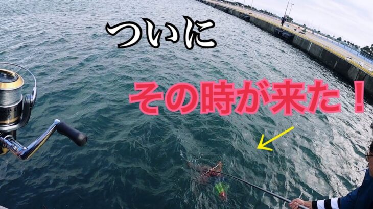 【泳がせ堤防釣り】大洗港でイワシの群れを釣りまくり、釣れたイワシを泳がせてたら、６０オーバーのヒラメとスズキが襲いかかった。