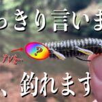 ぜひ試して！沈み蟲のマル秘チューン！釣れるルアーが更に釣れちゃうやつ