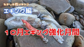 エギング編 アオリイカを求めて和歌山のシャローゴロタへ