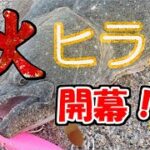 【秋のヒラメシーズン開幕か！？】１０月最初のサーフ釣行