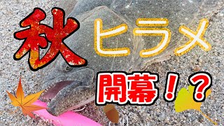 【秋のヒラメシーズン開幕か！？】１０月最初のサーフ釣行