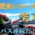 『福岡釣り』この時期が来た！シーバス釣るなら今がチャンス