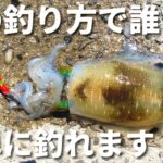 【エギング】秋イカはこの釣り方を試して下さい！