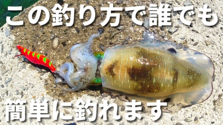 【エギング】秋イカはこの釣り方を試して下さい！