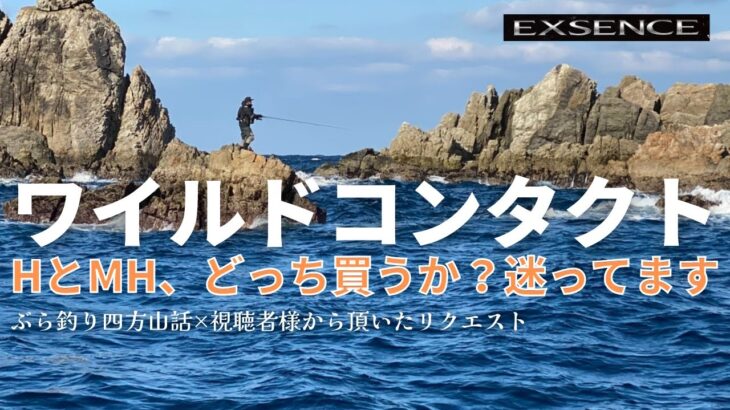 【エクスセンス】ワイルドコンタクトＨとＭＨ、どっち買うか？迷ってます・釣り部屋からの雑談・四方山話５１・視聴者様から頂いたリクエスト