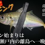 【アジング】瀬戸内海の島へ渡ってアジング一晩コース。