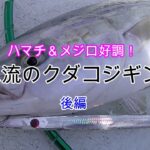 【ハマチジギング】タチウオパターンが絡んだ急流のクダコジギング　後編