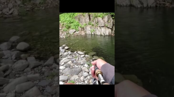 【バス釣り】ダムの大減水できた水たまりにルアー投げてみた！