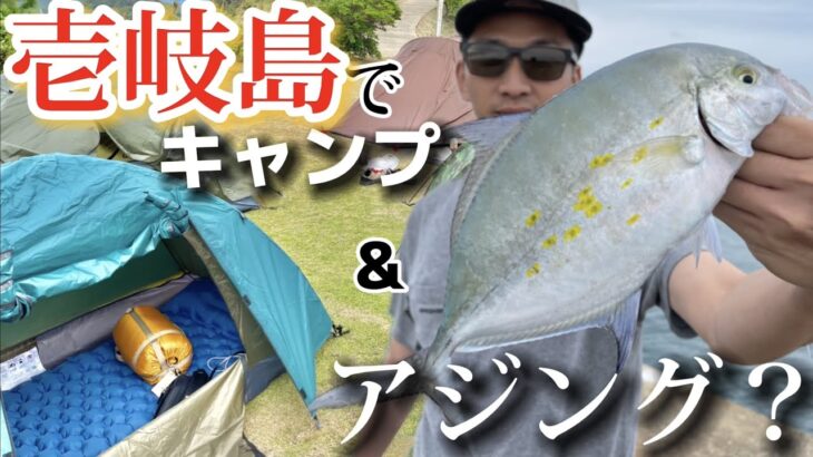 【壱岐】秋の聖地でデカアジは釣れるのか！？事前情報なしのアジング！！【釣りキャンプ】