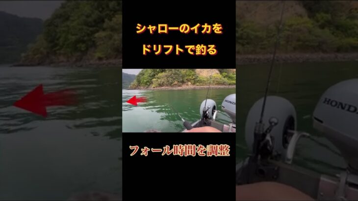 【エギング】激流シャローのイカはこうやれば釣れる