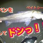 ［河川］夜の河川でシンペンを流してみたら…#シーバス #ベイトシーバス #釣り