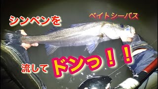 ［河川］夜の河川でシンペンを流してみたら…#シーバス #ベイトシーバス #釣り