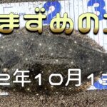 サーフヒラメの朝まずめで釣れ無い時の釣り方のコツを解説しました。（サーフヒラメの釣り方）