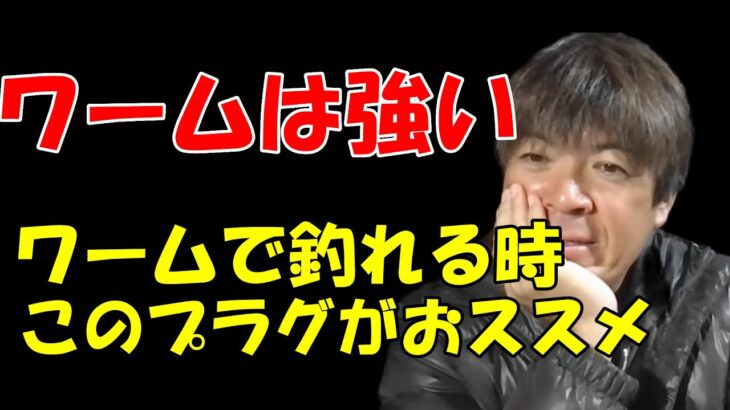 【シーバス】ワームは強いけど、ワームで釣れてる時に釣れるプラグ【村岡昌憲】