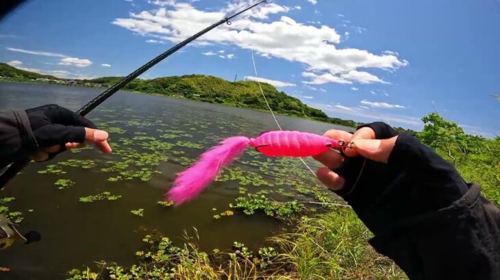 フロッグはなんで釣れないの？【バス釣り】